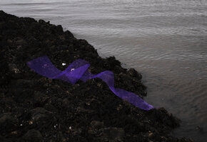 &Ouml;ffentliche F&uuml;hrung durch die Ausstellung: "Art. Science. Fiction &ndash; Alexandra Hunts, Sjoerd Knibbeler, Sophia Pomp&eacute;ry, Ulrike Schmitz"