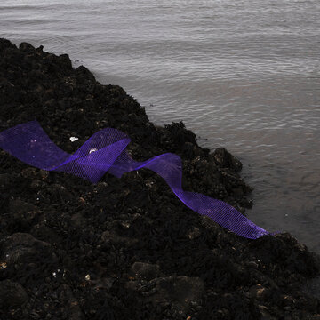 &Ouml;ffentliche F&uuml;hrung durch die Ausstellung: "Art. Science. Fiction &ndash; Alexandra Hunts, Sjoerd Knibbeler, Sophia Pomp&eacute;ry, Ulrike Schmitz"