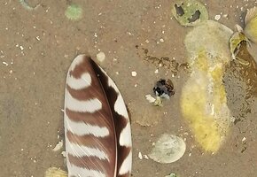 IMG_20210828_112745 Korrektur