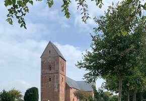Fahrradtour &ndash; Natur und Geschichte der Insel F&ouml;hr