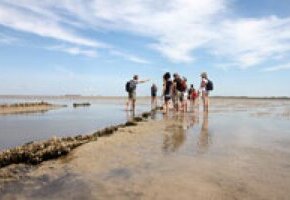Wattwanderung von F&ouml;hr nach Amrum