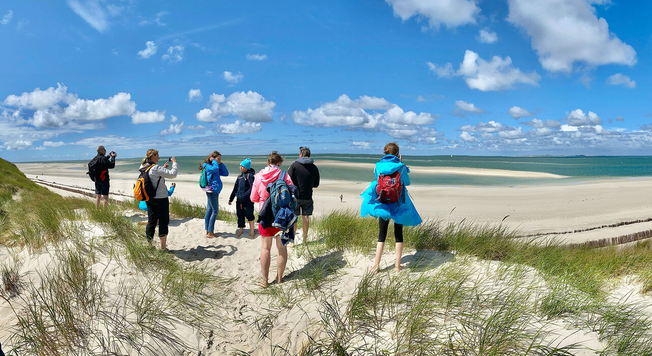 Naturkundliche Wattwanderung zum H&ouml;rnumtief und den Seehundsb&auml;nken