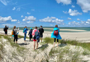 Naturkundliche Wattwanderung zum H&ouml;rnumtief und den Seehundsb&auml;nken