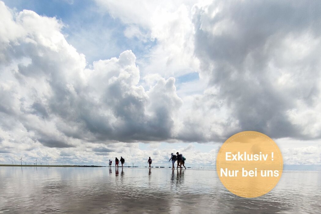Wattwanderung von F&ouml;hr zum Festland mit Nationalparkf&uuml;hrer Matthias Hansen