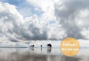 Wattwanderung von F&ouml;hr zum Festland mit Nationalparkf&uuml;hrer Matthias Hansen
