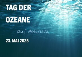 Tag der Ozeane auf Amrum