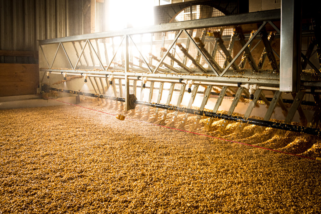 Führung mit kleinem Warehouse Tasting und anschließender Whisky-Verkostung in unserer Whisky Lounge