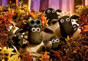 Shaun das Schaf - Spuk im Kürbisfeld