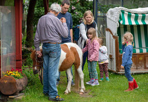 Geführtes Ponyreiten auf schönem Wiesengelände, ca. 20 Min.