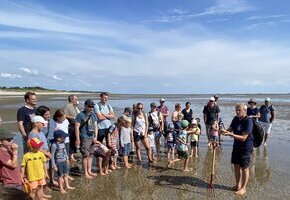 Naturkundliche Wattwanderung zum Sonnenunter- und Vollmondaufgang im Nieblumer Watt