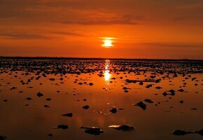 IMG_20210708_213554 Korrektur