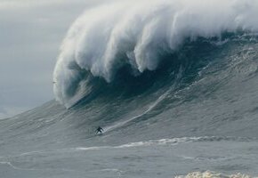 On the Wave