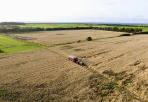 Taste the farm &ndash; Mit dem Trecker &uuml;bers Feld zur Herde