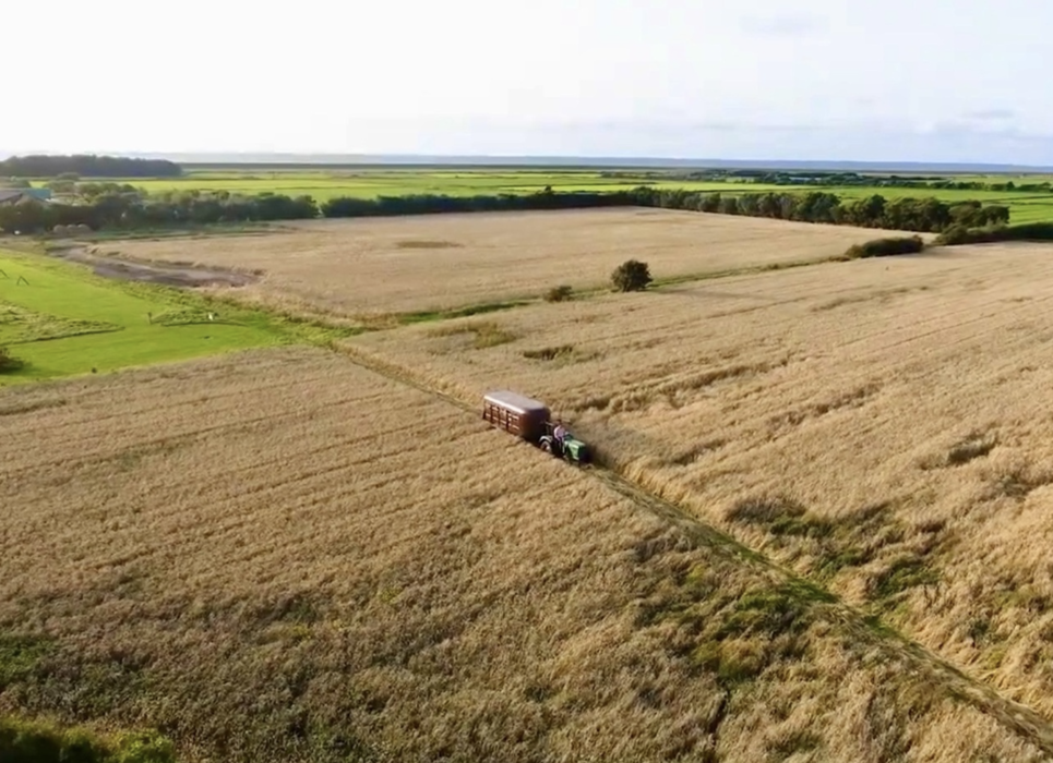 Taste the farm &ndash; Mit dem Trecker &uuml;bers Feld zur Herde