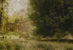 Der Wunderweltenbaum