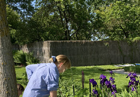 Kurs 2_Farbenprächtiger Nolde-Garten