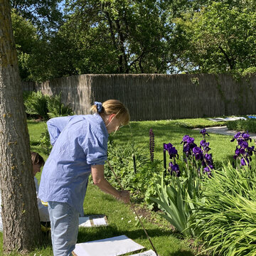 Kurs 2_Farbenprächtiger Nolde-Garten