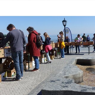 Gro&szlig;er B&uuml;cherverkaufsmarkt des F&ouml;hrer Lions Clubs