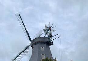 Fahrradtour &ndash; Natur und Geschichte der Insel F&ouml;hr