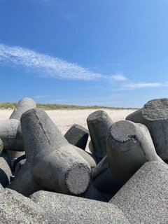 Tagesausflug SUP Paddel-Tour nach Hörnum (Sylt)