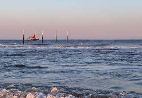IMG_6732