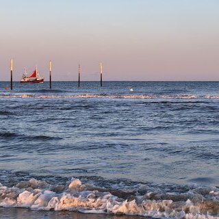 IMG_6732