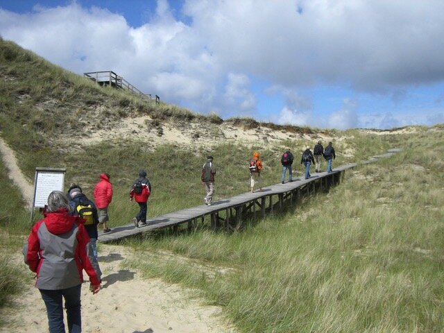 Führung: Amrums Dünen erleben