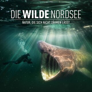 Die wilde Nordsee - Natur, die sich nicht zähmen lässt