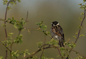 2024-04-06 07-18-18-Jakob-a6600