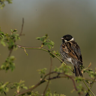 2024-04-06 07-18-18-Jakob-a6600