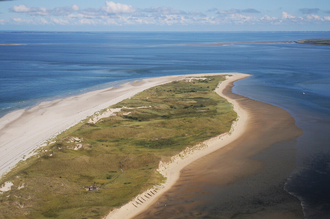Klimawandel im Wattenmeer 