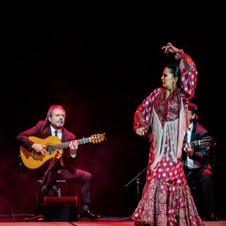 Antonio Andrade Compañía Flamenca – Colours of Seville