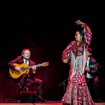 Antonio Andrade Compañía Flamenca – Colours of Seville