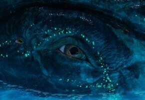 Avatar: Fire and Ash 3D