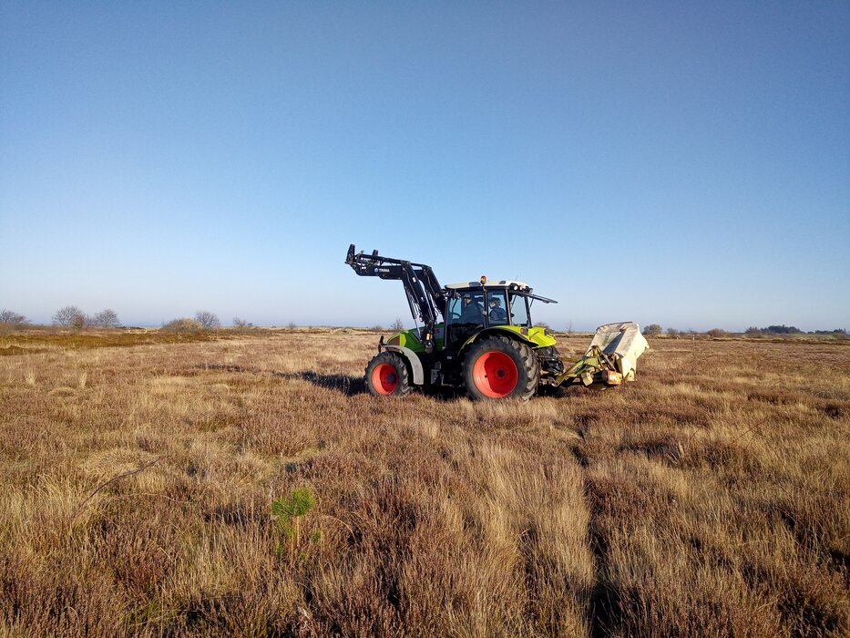 Amrums Heide &ndash; maschinelle Heidepflege in Aktion