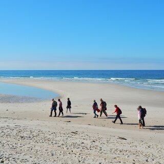 F&uuml;hrung: Der wei&szlig;e Strand von Amrum