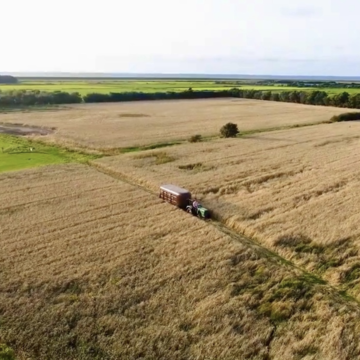 Taste the farm &ndash; Mit dem Trecker &uuml;bers Feld zur Herde