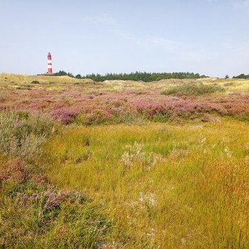 Auf den Spuren der Kreuzkr&ouml;te