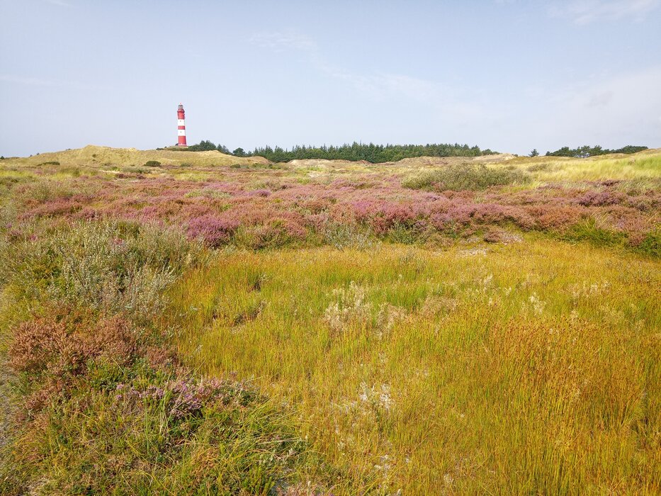 Auf den Spuren der Kreuzkr&ouml;te