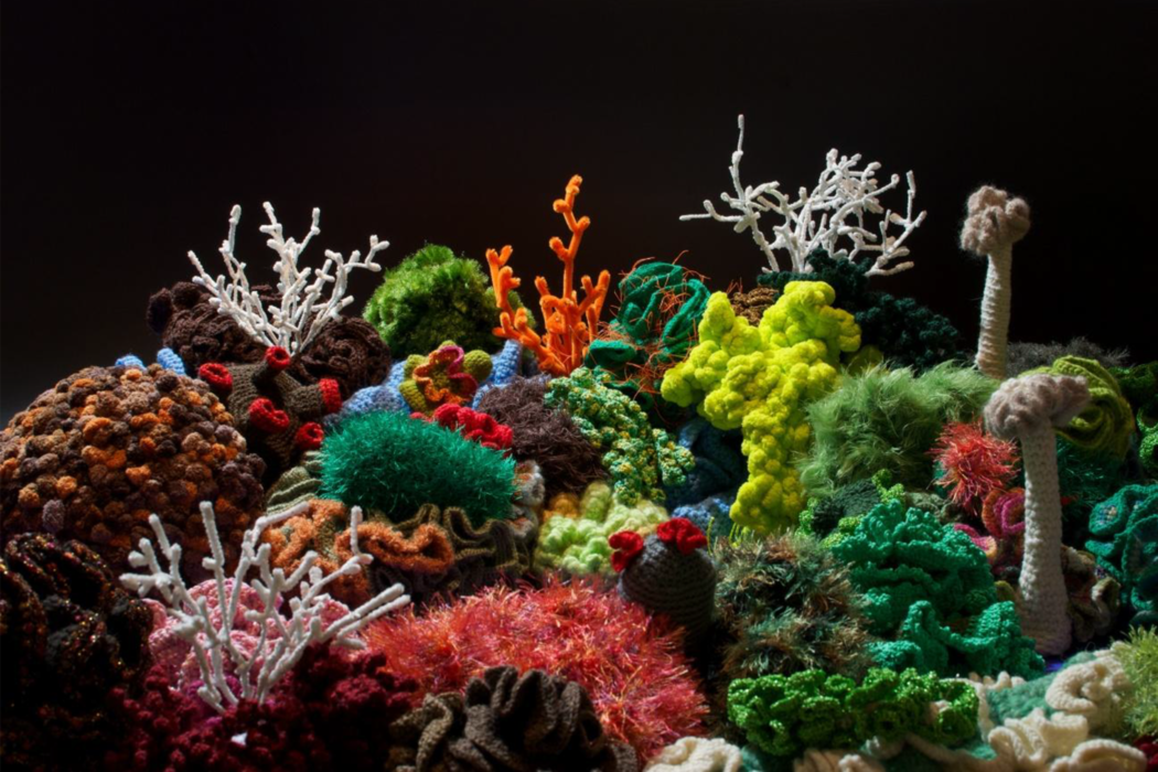 Korallen h&auml;keln f&uuml;r Amrum