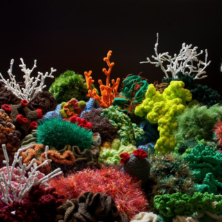 Korallen h&auml;keln f&uuml;r Amrum