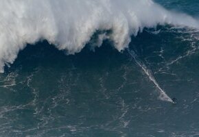 On the Wave