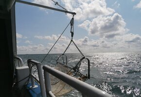 Seehundsb&auml;nke &ndash; Seetierfang mit dem "MS Rungholt"