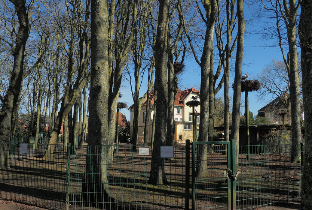 Storchenparkführung