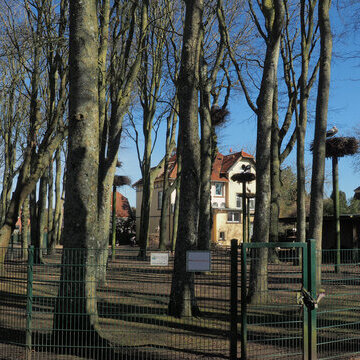 Storchenparkführung