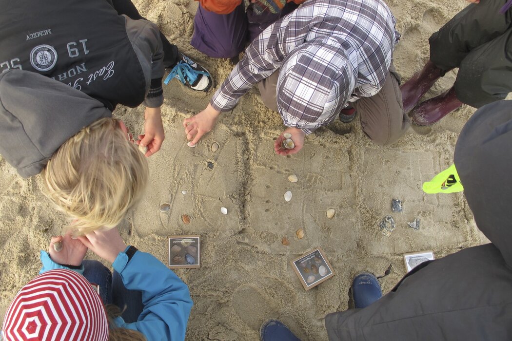 Schnitzeljagd am Strand
