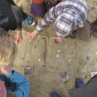 Schnitzeljagd am Strand