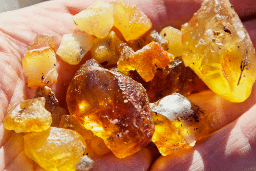 Vortrag: Funde an Strand und Sp&uuml;lsaum mit Bernsteinschleifen