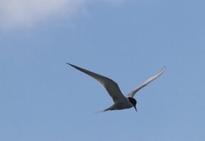 20260114160700_Veranstaltungsbild_Speisekammer