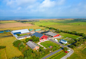 Das liebe Vieh... Weiderinder ganz nah